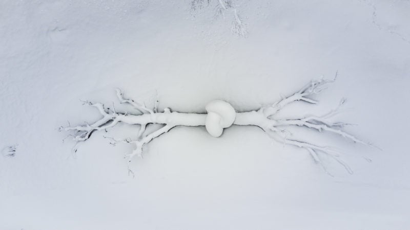 installazione artistica con neve parco Arte Sella